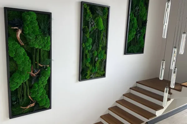 3er Moosbilder Set: Kugelmoos Dschungel-Kaskade